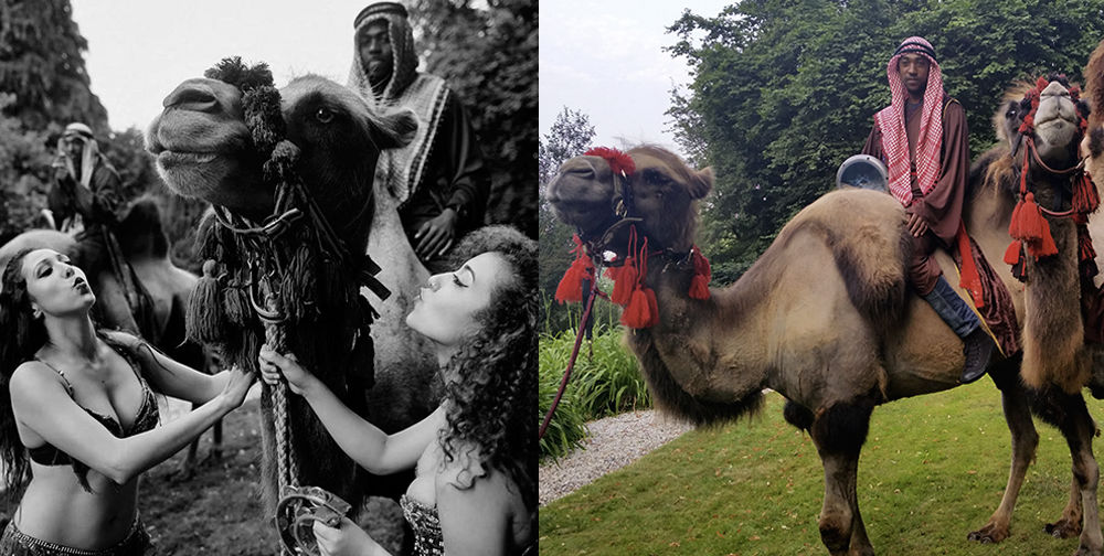 Waterpijpenterras feest kamelen verhuur