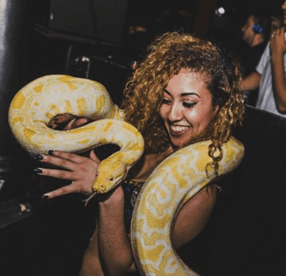 Waterpijpenterras feest Buikdanseres met slang